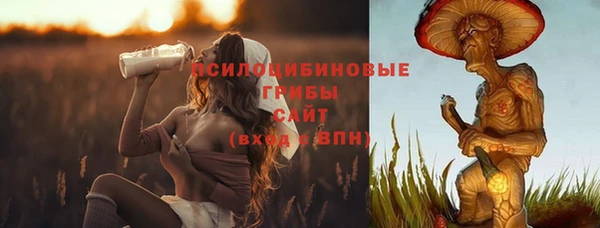 PSILOCYBIN Зерноград