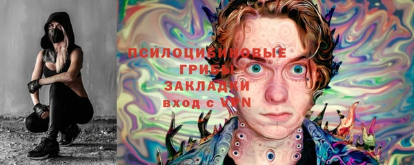 дживик Зеленодольск