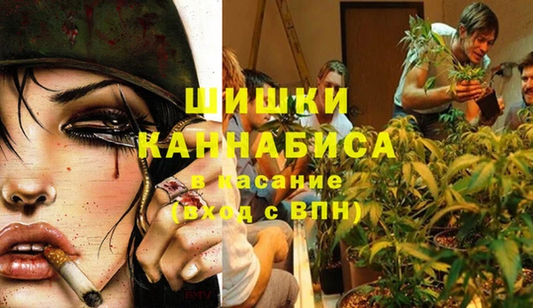 PSILOCYBIN Зерноград