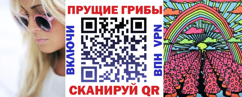 Купить закладки  Новоуральск  Галлюциногенные грибы GOLDEN TEACHER 